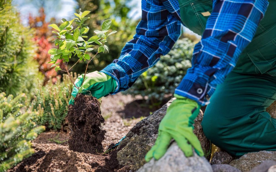entretien de jardin à Valdahon
