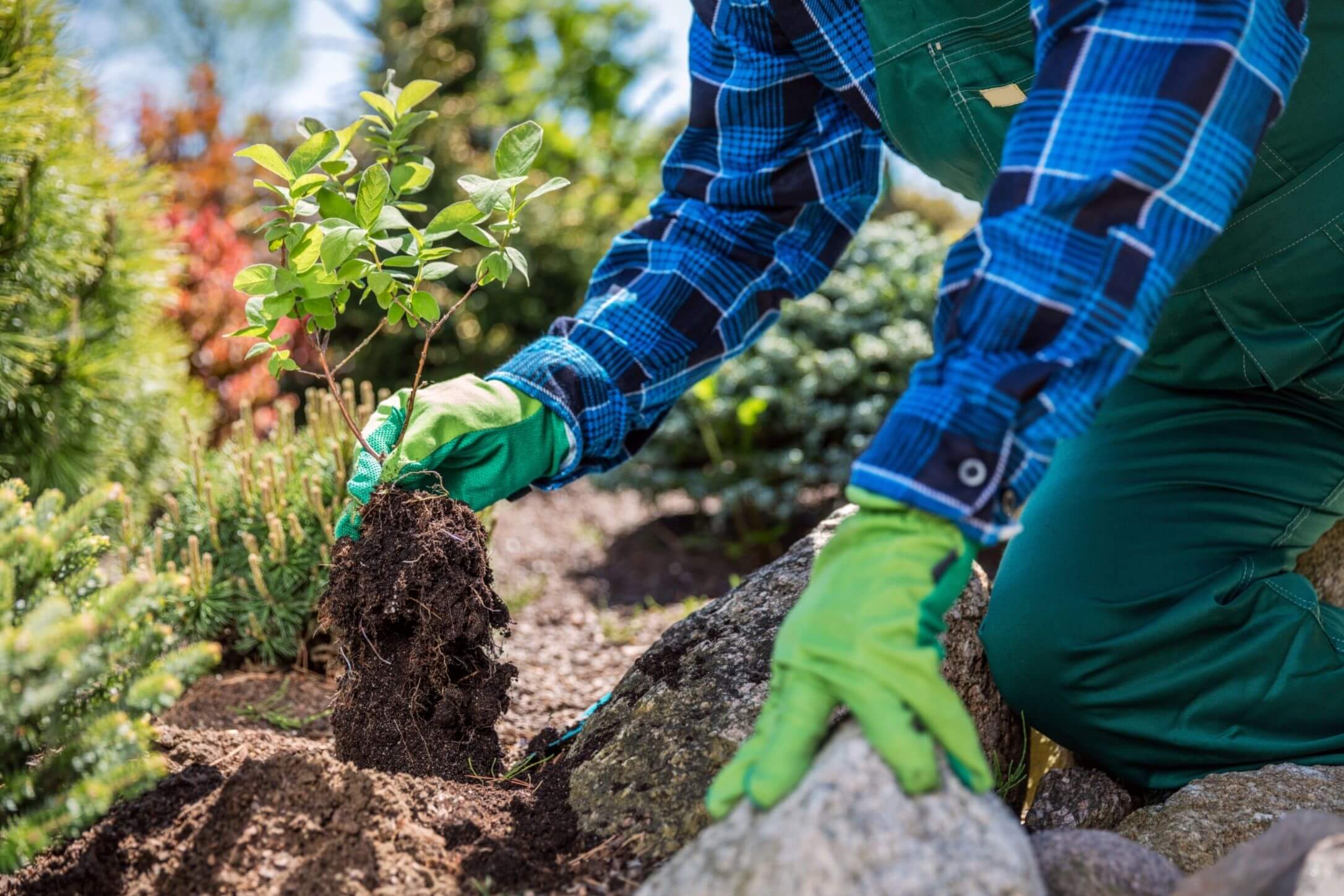 entretien de jardin à Valdahon