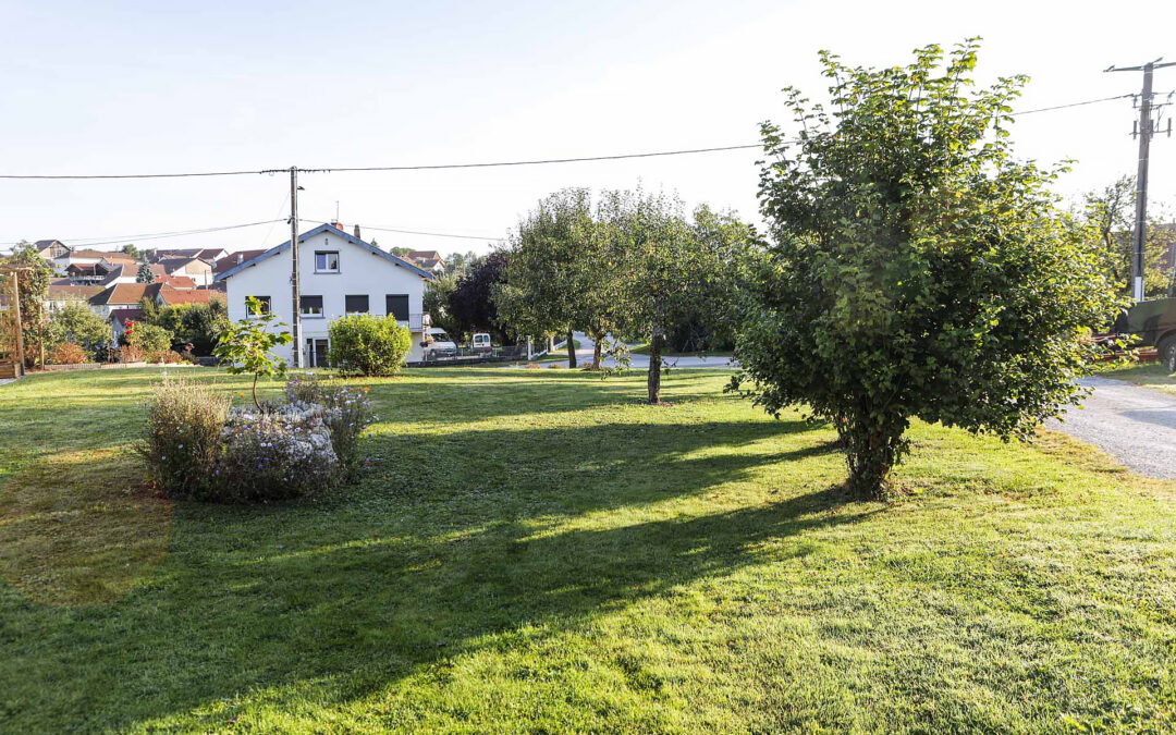 Tonte de pelouse à Besançon
